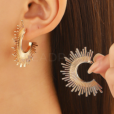 304 Stainless Steel Stud Earrings FS-WG82045-04-1