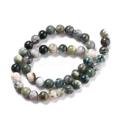 Natural Tree Agate Beads Strands G-I199-03-8mm-1