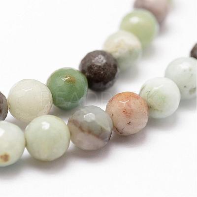 Natural Flower Amazonite Beads Strands G-D840-24-8mm-1