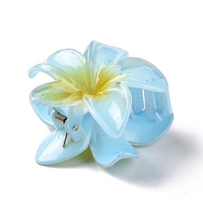 Plastic Claw Hair Clips OHAR-P020-08-1