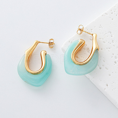 304 Stainless Steel & Resin Stud Earrings GJ4743-7-1
