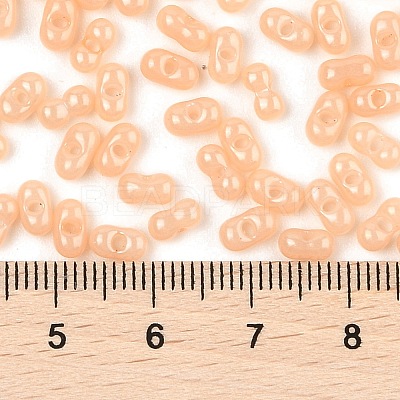 Baking Paint Glass Seed Beads SEED-L011-09A-12-1