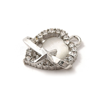 Alloy Pendants FIND-H015-10P-01-1