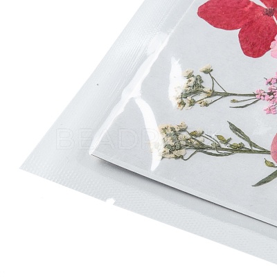 Pressed Dried Flowers DIY-F076-01D-1