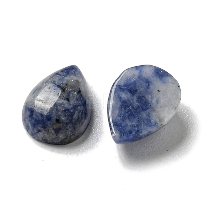 Natural Blue Spot Jasper Cabochons G-Q173-02B-14-1