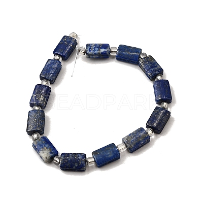 Natural Lapis Lazuli Beads Strands G-Z087-C01-1