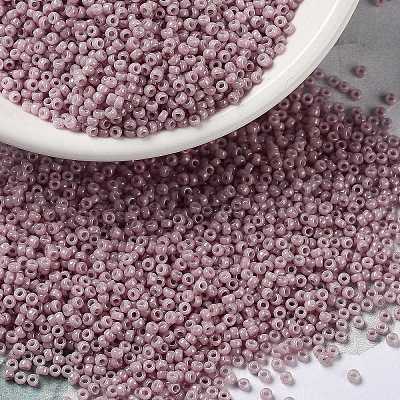 MIYUKI Round Rocailles Beads X-SEED-G009-RR0599-1