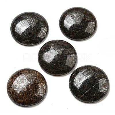 Natural Bronzite Cabochons G-C115-02B-25-1