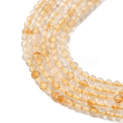 Natural Citrine Beads Strands G-I289-02-1