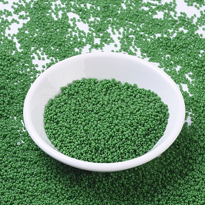 MIYUKI Round Rocailles Beads SEED-G007-RR0411-1