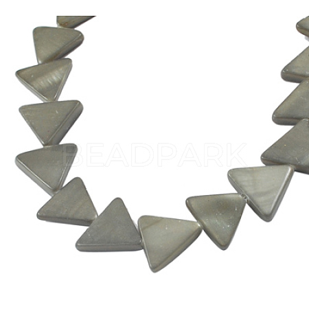 Natural Shell Beads Strands X-PBB-XXBK046Y-9-1