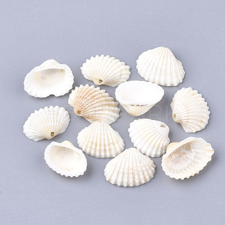 Spiral Shell Charms X-SSHEL-S251-14-1