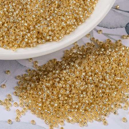 MIYUKI Round Rocailles Beads X-SEED-G009-RR0552-1