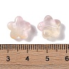 Baking Paint Glass Beads LS-GLAA-S202-10H-3