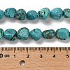 Natural Turquoise Beads Strands X-G-P497-01E-91-5