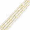 Glass Silk Stain Style Beads Strands GLAA-N047-001B-02-1