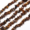 Natural Tiger Eye Chip Bead Strands X-G-M205-03-1