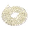 Electroplate Transparent Glass Beads Strands GLAA-H021-01B-FR04-4