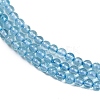 Natural Blue Topaz Beads Strands G-P553-A01-01-4