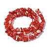 Natural Trochid Shell/Trochus Shell Bead Strands SSHEL-N034-78-C04-2