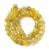 Dyed & Heated Natural Fire Crackle Agate Beads Strands G-P539-B01-18-3