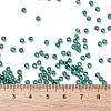 TOHO Round Seed Beads SEED-XTR08-0756-4