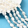 Baroque Natural Keshi Pearl Beads Strands PEAR-B004-14A-01A-1