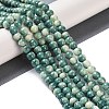 Baking Paint Glass Bead Strands X-GLAA-H031-01A-07-2