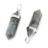 Natural Labradorite Double Terminated Pointed Pendants G-F295-05N-2