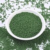 MIYUKI Round Rocailles Beads SEED-X0054-RR0411F-2