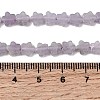 Natural Lepidolite/Purple Mica Stone Beads Strands G-B138-C18-01-5