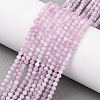 Natural Kunzite Beads Strands G-G259-D11-3mm-01-1