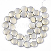 Shell Pearl Beads Strands SSHEL-R046-04B-2