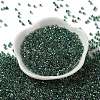 Glass Seed Beads SEED-S042-13A-18-2