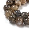 Natural Black Moonstone Beads Strands G-Q183-A01-02-4