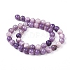 Natural Lepidolite/Purple Mica Stone Beads Strands G-K415-10mm-7