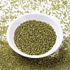 MIYUKI Delica Beads SEED-MY11-DB2164-2