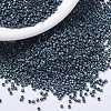 MIYUKI Delica Beads Small SEED-X0054-DBS1052-1
