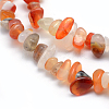 Natural Carnelian/Red Agate Beads Strands G-P332-34B-2