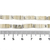 Handmade Lampwork Beads Strands LAMP-Q037-01B-06-4
