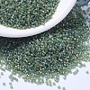 MIYUKI Delica Beads X-SEED-J020-DB1282-1