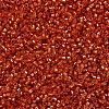 MIYUKI Delica Beads SEED-X0054-DB2158-3