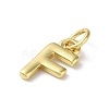 Rack Plating Brass Charms KK-P245-06G-F-2