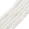 Electroplate Opaque Solid Color Glass Beads Strands EGLA-A034-P10mm-L17-1