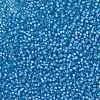 MIYUKI Round Rocailles Beads SEED-G007-RR0573-4