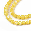 Natural Freshwater Shell Beads Strands SHEL-N003-24-B08-3
