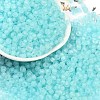 6/0 Luminous Glass Seed Beads X1-SEED-NH0001-01F-2