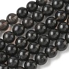 Natural Ice Obsidian Beads Strands X-G-P590-A03-10mm-03-2