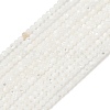 Natural White Shell Beads Strands G-A177-04-25-2