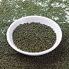 MIYUKI Round Rocailles Beads X-SEED-G007-RR0307-2